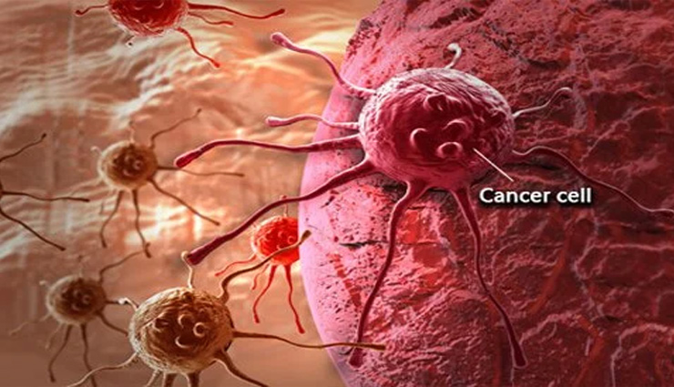 clove,medicinal benefits,clove medicine,clove spice,stomach,mouth,bacteria,cancer,hair,health news in hindi