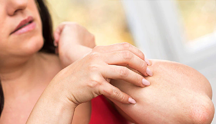 pistachio,pista,human body,pista medicine,dry fruit,pista health,health news in hindi