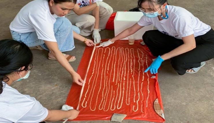 weird news,weird incident,59 feet long tapeworm,thailand