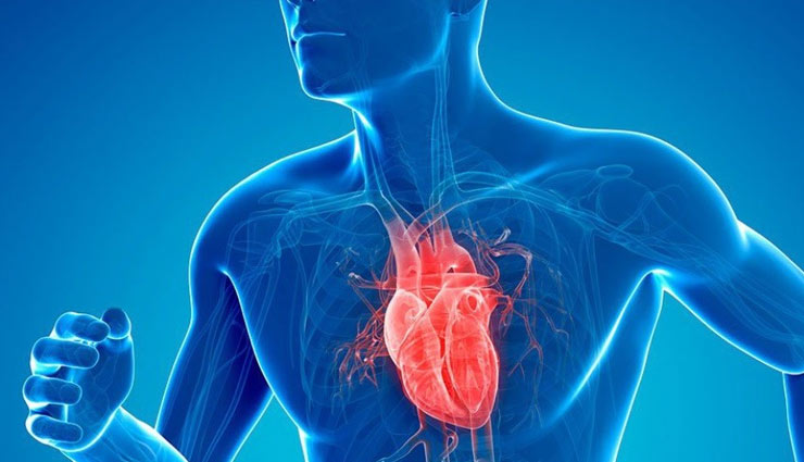 पौष्टिक तत्वों से भरपूर है मिल्क पाउडर, इम्यून सिस्टम को बनाता है मजबूत, ये भी हैं फायदे coronavirus,milk powder,milk powder benefits,milk,muscles,bones,eyes,immunity system,heart,health article in hindi