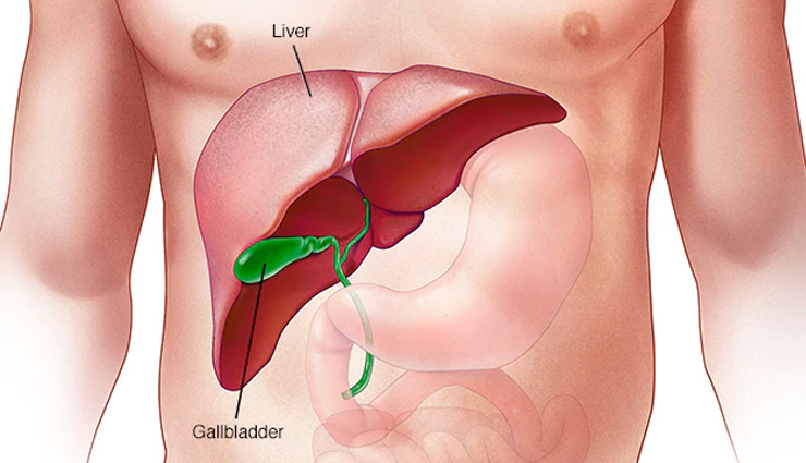 general diseases,diseases,men diseases,prostate cancer,kidney,liver,cholesterol,heart,health article in hindi