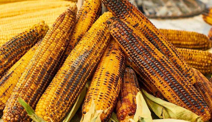 diet,season,diet season,Health,shishir,basant,greesham,varsha,sharad,hemant,winter,summer,rainy season,health article in hindi