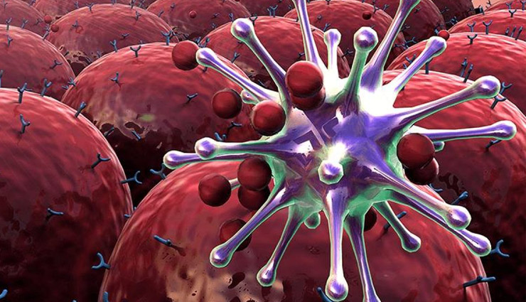 mango,mango medicinal values,mango advantages,immunity,cancer,weight gain,health article in hindi