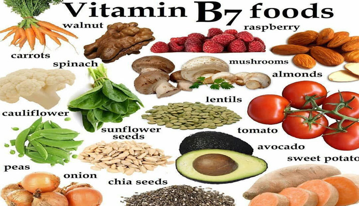 Vitamin B7 : अन्य विटामिन्स की तरह ही है जरूरी, इन अंगों को उपलब्ध कराता सुरक्षा चक्र