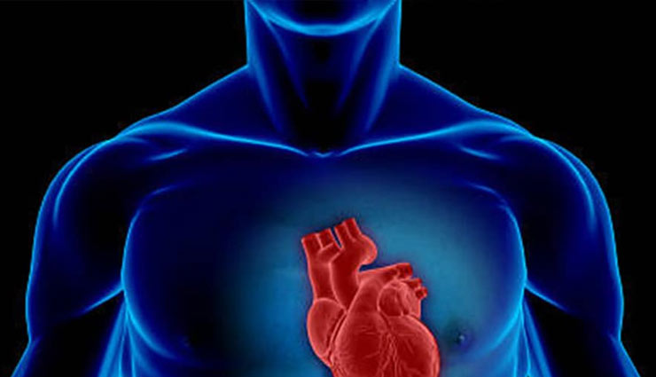 coronavirus,garlic,garlic home tips,garlic medicinal values,garlic benefits,heart,blood sugar level,flu,cancer,health article in hindi