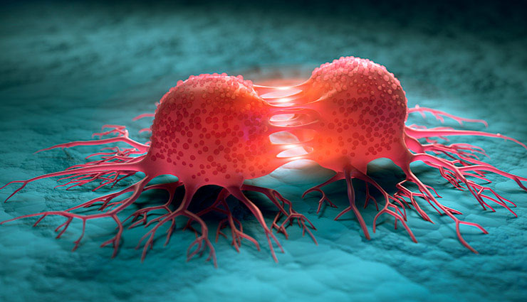 coronavirus,garlic,garlic home tips,garlic medicinal values,garlic benefits,heart,blood sugar level,flu,cancer,health article in hindi