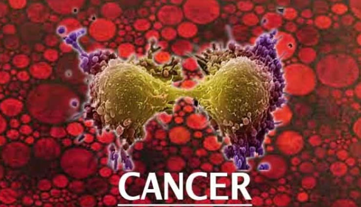 coronavirus,kachi haldi,raw turmeric,turmeric,kachi haldi vegetable,insomnia,infection,immunity,cancer,kachi haldi sabji recipe,health article in hindi