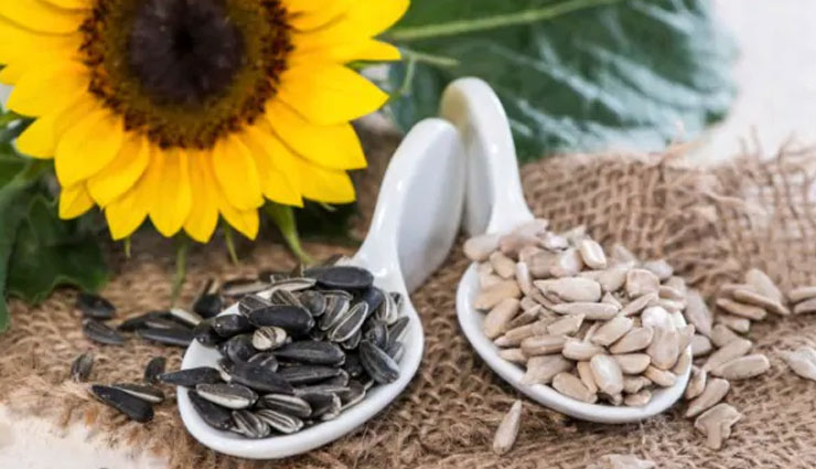 दाद, खाज, खुजली की समस्या से हैं परेशान! ये घरेलू उपचार आपकी ऐसे करेंगे सहायता ringworm,eczema,itch,home tips itch,coconut oil,garlic,turmeric,aloe vera,apple vinegar,bitter gourd,sunflower seed,tea tree oil,health article in hindi