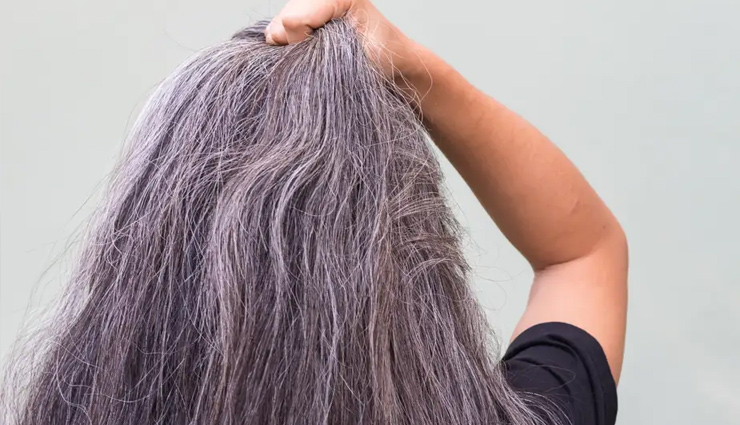 Healthy living use these tips to avoid grey or white hair problem 169938  ...तो ये है असमय बाल सफेद होने के पीछे की वजह, इस तरह कर सकते हैं समस्या  में सुधार -