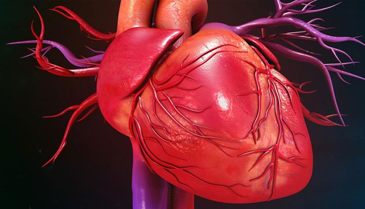 coronavirus,arhar ki dal,toor ki dal,arhar ki dal diseases,arhar ki dal benefits,arhar ki dal advantages,arhar ki dal medicine,constipation,digestion,heart,health article in hindi