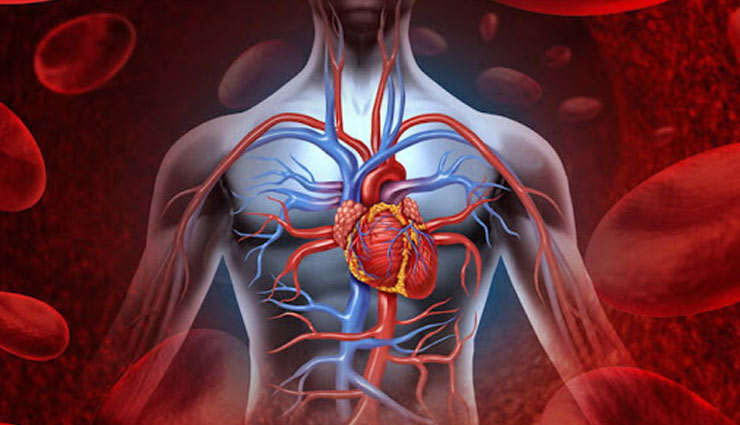 carrot,carrot seeds,carrot seeds oil,carrot seeds oil advantages,wrinkles,antioxidant,skin,cancer,infection,digestion,hair,periods,health article in hindi