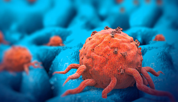 carrot,carrot seeds,carrot seeds oil,carrot seeds oil advantages,wrinkles,antioxidant,skin,cancer,infection,digestion,hair,periods,health article in hindi