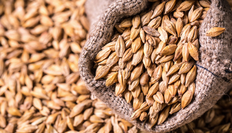 पेट हो या रक्त संबंधी समस्या, जौ के सेवन से मिलता चैन, इन रोगों में भी देता है राहत