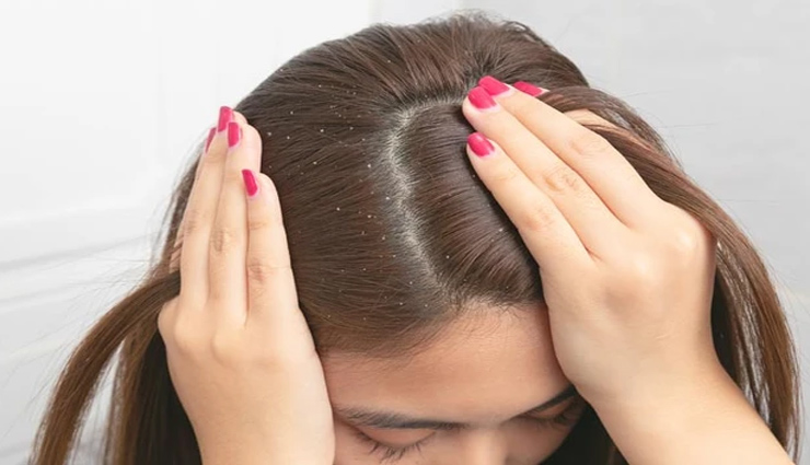 bottle gourd,bottle gourd juice,lockie,gheeya,bottle gourd medicine,heart,weight,dandruff,health article in hindi