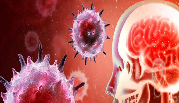 encephalitis,japani fever,brain,encephalitis symptoms,encephalitis precautions,flavivirus,rice field,health article in hindi