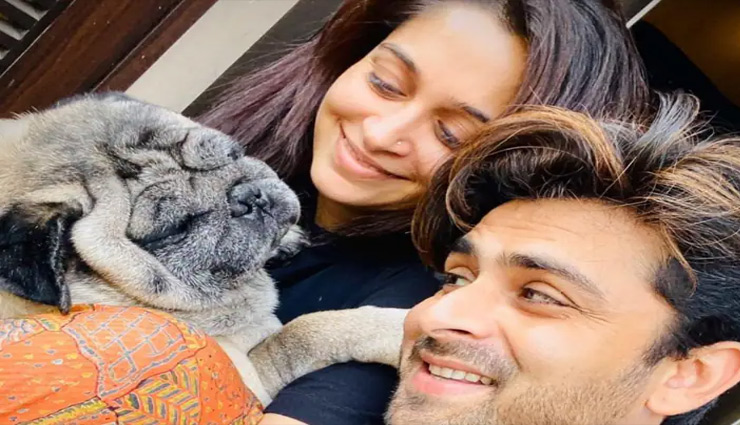 kangana ranaut,amitabh bachchan,cuddle dog,kamala pasand,farmers,dipika,shoaib,bollywood news in hindi