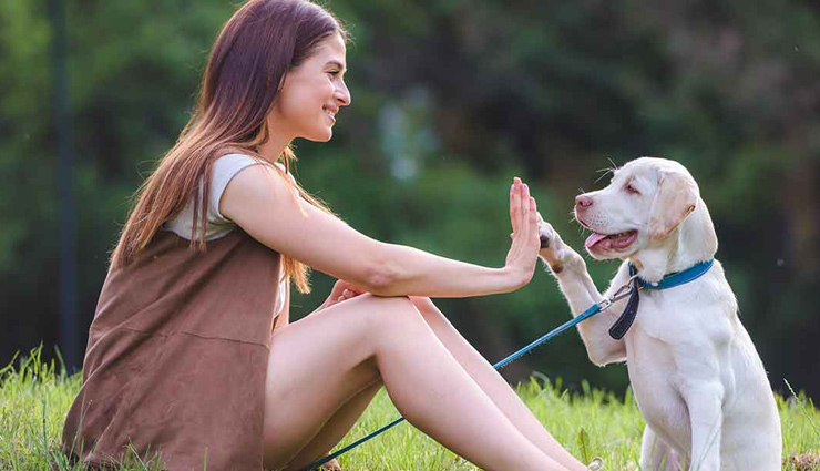 5 Ways To Be Good To Animals