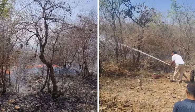 राजस्थान में बढ़ती गर्मी का असर, माउंट आबू के बाद रणथम्भौर के टाइगर रिजर्व में लगी आग
