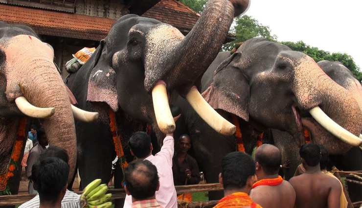 thrissur,kerala,places to visit in thrissur,attractions in thrissur,kerala travel,travel tips