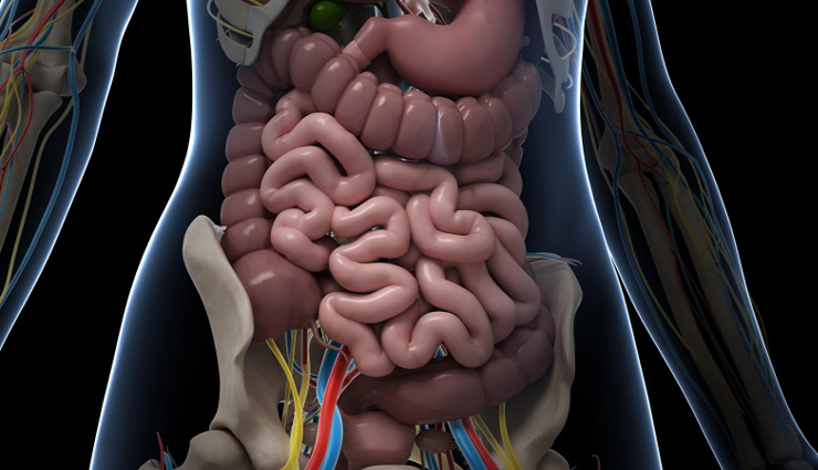 शरीर की पाचन क्रिया के लिए जरूरी हैं आंतों की सेहत, इन फूड्स से मिलेगी मजबूती 