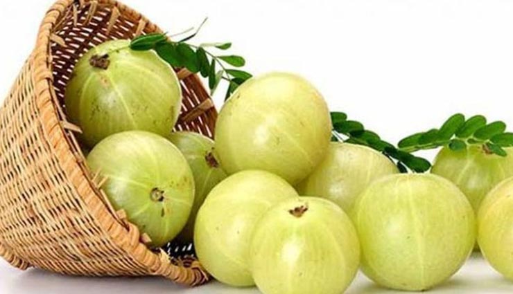 Health tips,health tips in hindi,summer health tips,cooling herbs,keep body hydrated