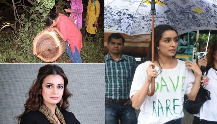 मुंबई : आरे कॉलोनी में पेड़ों की कटाई के खिलाफ फूटा बॉलीवुड सेलेब्स का गुस्सा, ट्वीट कर जताया विरोध