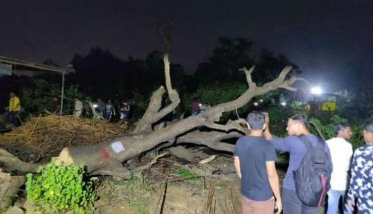 aarey forest,Bollywood stars,shraddha kapoor,mumbai,farhan akhtar,diya mirza,bollywood news,entertainment