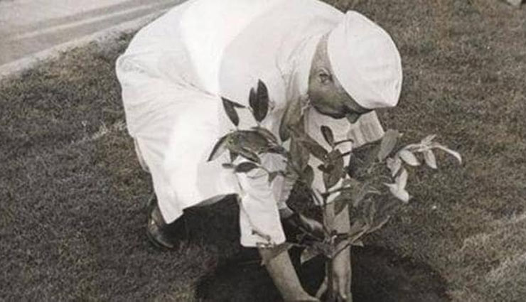 4 मार्च 1951 में जवाहर लाल नेहरू ने आरे में लगाया था पहल पौधा, ऐसे तैयार हुआ पूरा जंगल 