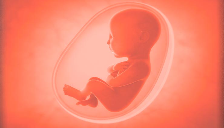 weird news,weird information,abortion,strange abortion