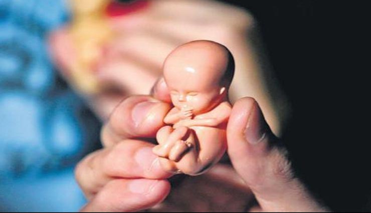 पुराने समय में अनचाहे गर्भ को गिराने के लिए होता था इन सर चकराने वाले ख़तरनाक तरीकों का इस्तेमाल weird news,weird information,unwanted pregnancies,abortion ancient method