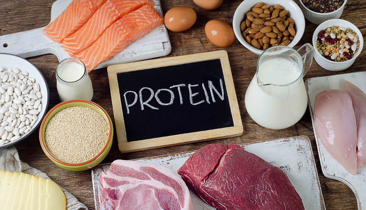 5 Basic Things You Must Know About Protein