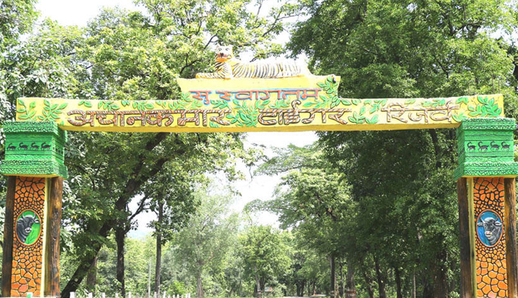 देश के सबसे खूबसूरत प्रदेशों में शामिल होता है छत्तीसगढ़, धरती का स्वर्ग कहलाता है चित्रकोट chhattisgarh tourist places,best places to visit in chhattisgarh,top attractions in chhattisgarh,explore chhattisgarh: must-visit tourist spots,chhattisgarh tourism: popular destinations,discover the beauty of chhattisgarh,hidden gems of chhattisgarh,chhattisgarh travel guide: tourist attractions,unveiling the wonders of chhattisgarh,chhattisgarh sightseeing: must-see places