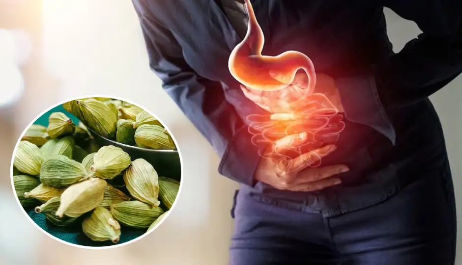 पेट की जलन और गैस से परेशान हैं? इलायची का सही इस्तेमाल दिला सकता है राहत