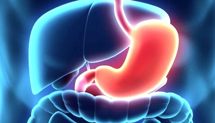 cucumber health benefits,ridge gourd nutrition,kheera and kakdi benefits,health advantages of ridge gourd,cucumber kakdi wellness benefits,kakdi kheera health benefits,nutritional benefits of ridge gourd,cucumber and ridge gourd advantages,kheera kakdi wellness perks,healthful properties of cucumber and kakdi,ridge gourd cucumber nutrients,kakdi kheera healing powers,health boost from cucumber ridge gourd,kheera kakdi nutritional value,ridge gourd cucumber superfoods,ककड़ी खीरा के फायदे,खीरा ककड़ी के स्वास्थ्य लाभ,ककड़ी और खीरे के गुण,खीरे ककड़ी के लाभ,ककड़ी खीरा के उपयोग