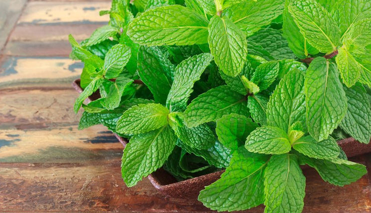 lemon juice,aloe vera,chamomile,echinacea,toothpaste,honey,mint,home remedies to treat acne,acne treatment,home remedies,skin care tips,beauty tips