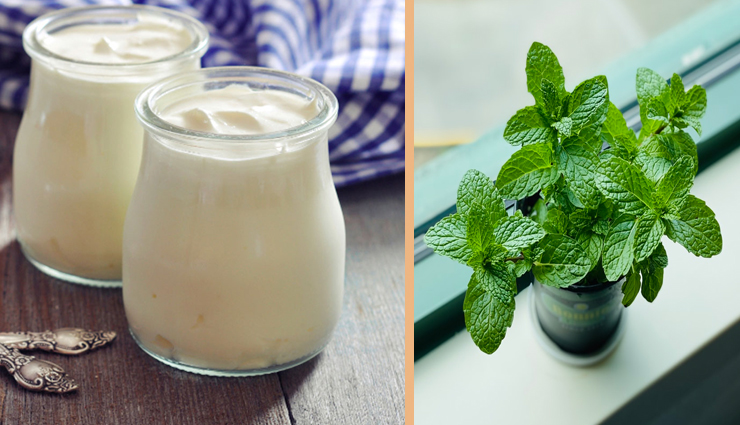 acne removal,yogurt for acne removal,diy yogurt for acne,skin care tips,beauty tips