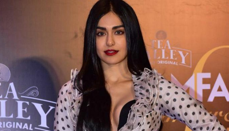 बंदरों से अंग्रेजी में बात कर रही थी ये एक्ट्रेस, हुई ट्रोल