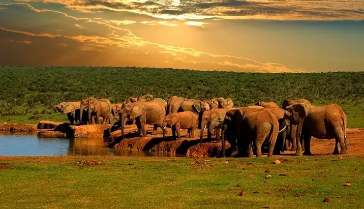 south africa,destinations in south africa,least known destinations south africa,stellenbosch,blyde river canyon,addo elephant national park,robben island,drakensberg,kgalagadi transfrontier park,isimangaliso wetland park,the garden route,hermanus,the golden mile,travel,holidays