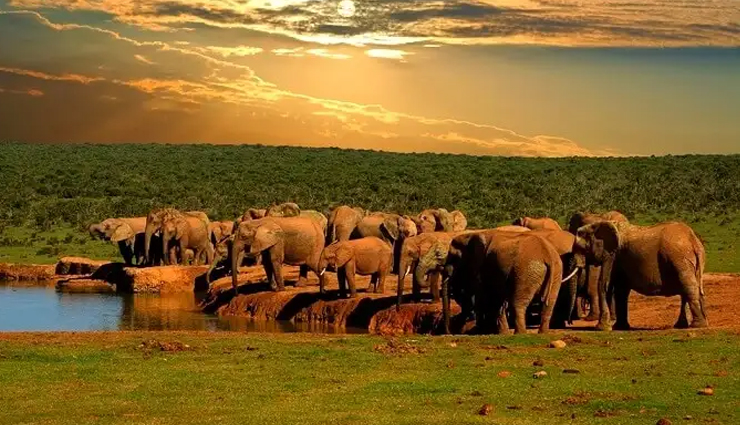 south africa tourist places,top tourist destinations south africa,best places to visit in south africa,south africa travel attractions,must-visit places in south africa,famous tourist spots in south africa,south africa sightseeing destinations,top 10 south african tourist places,south africa travel guide