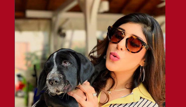 big boss 11,aditi singh,aditi singh instagram pics,bollywood