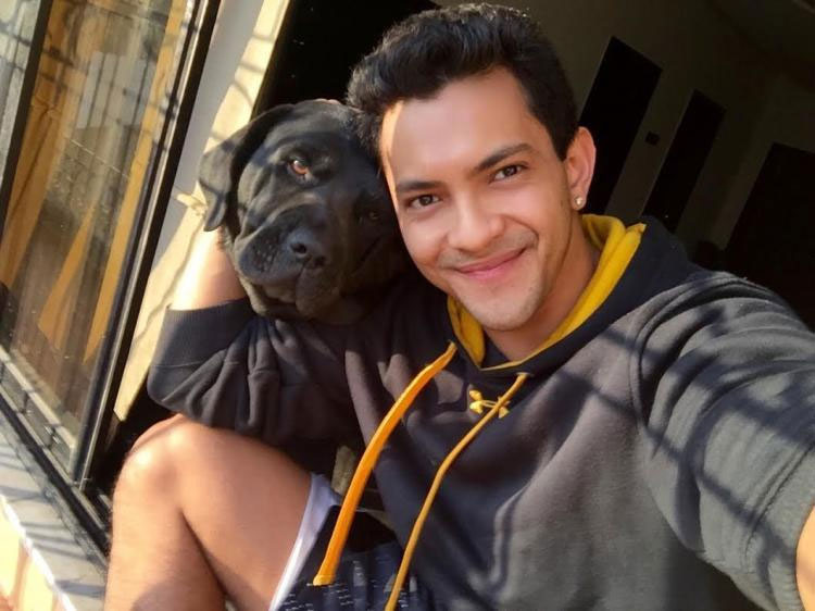 television,khatron ke khiladi season 9,khatron ke khiladi,vikas gupta,aditya narayan,rohit shetty