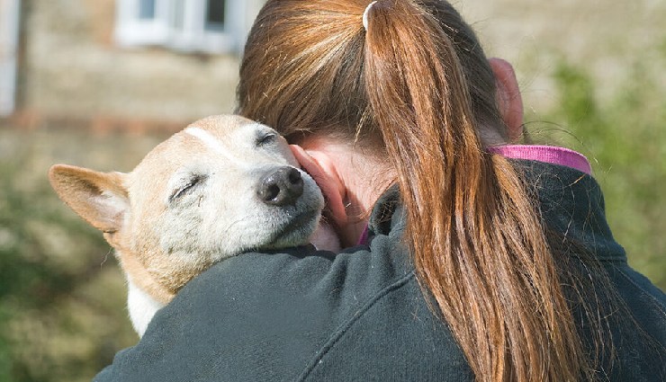 10 Least Known Health Benefits of Adopting a Pet