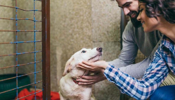 signs youre ready for a baby,baby readiness indicators,parenthood readiness signs,ready for parenthood checklist,preparing for a baby signs,emotional readiness for a baby,ready to start a family,assessing parenthood readiness,baby fever vs. real readiness,parenthood preparation tips