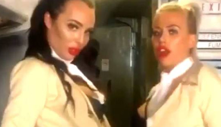 weird news in hindi,adult film,aircraft museum,plane