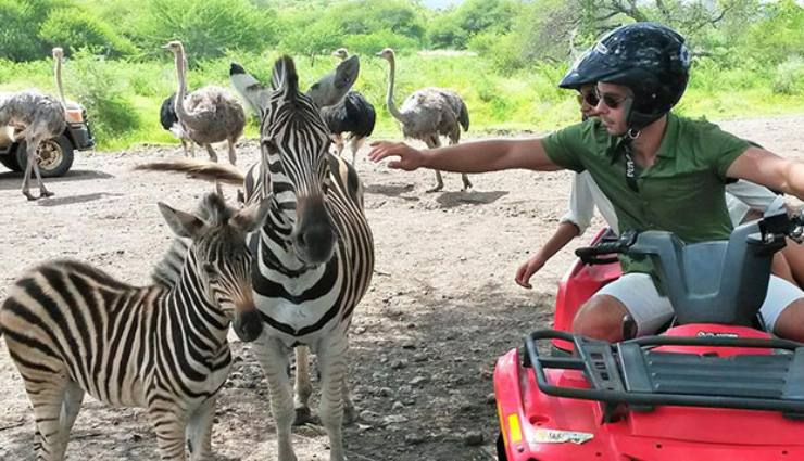 things to do in mauritius,mauritius attractions,must-visit places in mauritius,mauritius travel experiences,top activities in mauritius,exploring mauritius,tourist hotspots in mauritius,mauritius adventure and culture,best sightseeing spots in mauritius,mauritius travel guide