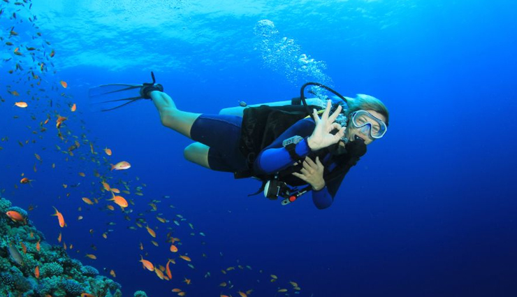 adventure sports,adventure sports to try in india,india,trekking,paragliding,bungee jumping,sky diving,scuba diving,caving