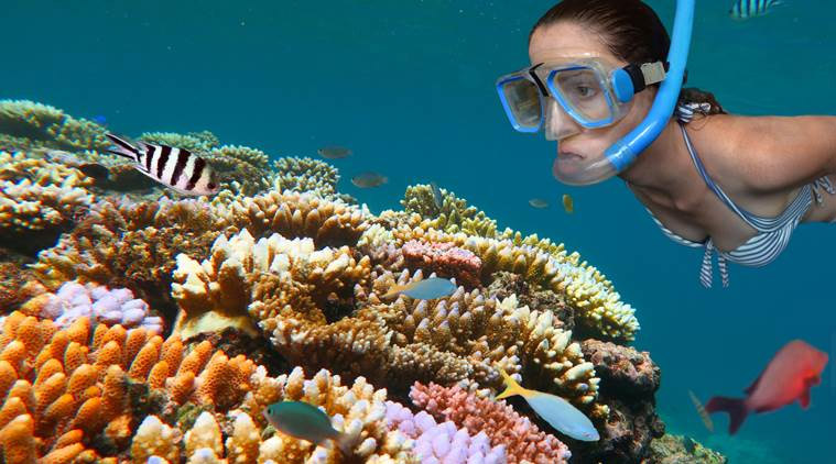 valentines special,valentines special 2018,adventurous places in t he world,adventurous places to be visited,the great barrier reef of australia,the pyramids of giza,the chilean patagonia,maasai mara-serengeti tourism belt,the amazon forest and inca sites of bolivia