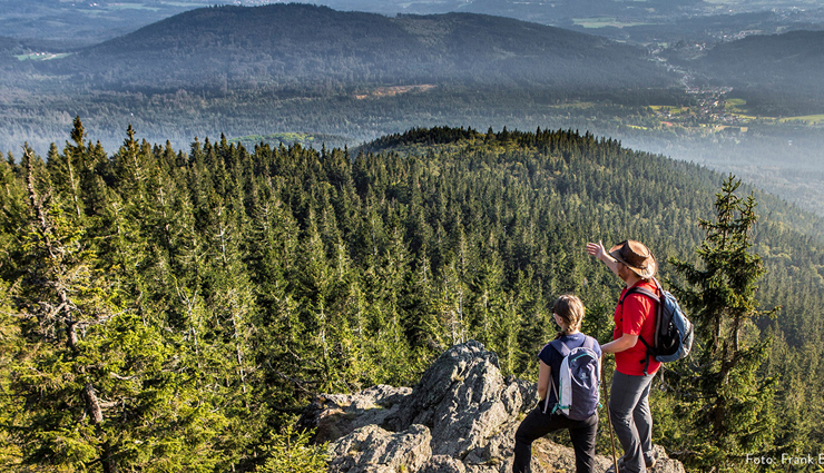 germany,adventurous places in germany,black forest national park,wallberg,oberstdorf,bavarian forest national park,sylt,rugen