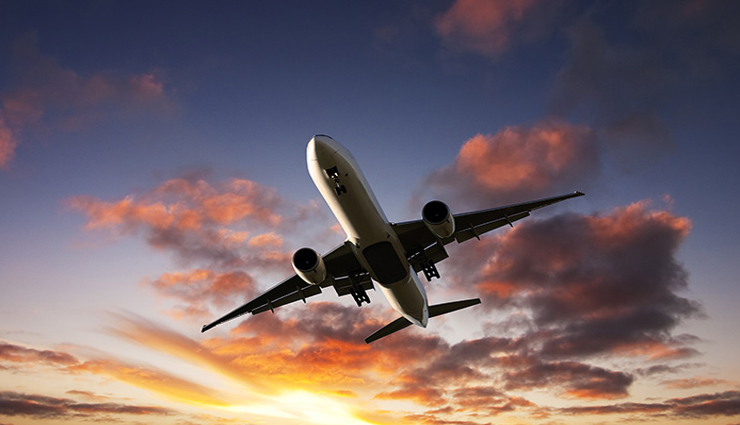 आसमान में उड़ते हवाई जहाज से गिरा मल, बगीचे में खड़ा शख्स सिर से पैर तक हुआ तरबतर 