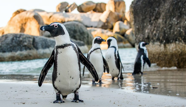 africa,facts about africa